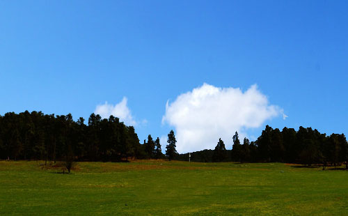 武隆仙女山 武隆仙女山