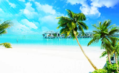 馬爾代夫太陽島2