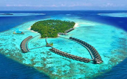 阿雅達(dá) 阿雅達(dá)